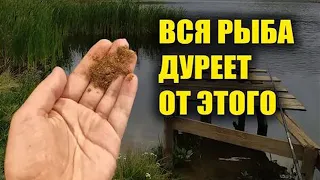 4 года от неё дуреет вся рыба, добавляю в супер рыболовная насадка для карася и карпа весной