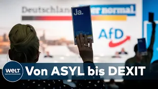AFD-PARTEITAG IN DRESDEN: Rechtspopulisten schnüren brisantes Wahlprogramm