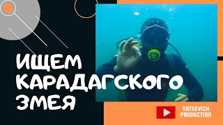 Крым. Ищем под водой следы Карадагского змея