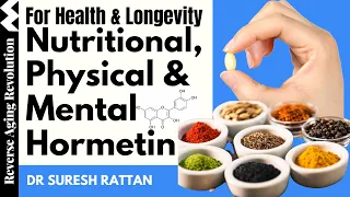 Hormetin As A Powerful Drug For Health & Longevity | Dr Suresh Rattan Presentation Clips