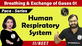 Breathing and Exchange of Gases - 01 | Human Respiratory System | Class 11| Neet | Pace Series