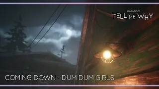 Coming Down - Dum Dum Girls [Tell Me Why]