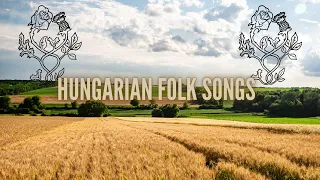 Hungarian folk music - relaxing compilation with Hungarian landscapes 4K