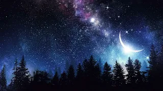 BEST SLEEP　MUSIC ／HEALING ／RELAX