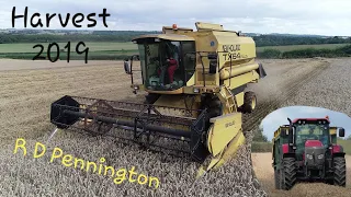 Harvest 2019 | R D Pennington