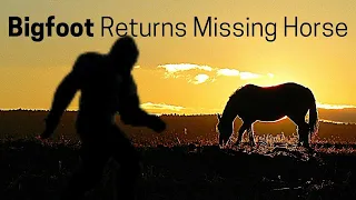 SAROY SHORT STORIES Bigfoot Returns Horse Disturbing Terrifying Murder Mystery Sasquatch