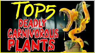 TOP 5 Deadly Carnivorous Plants (Multilingual Subtitles)