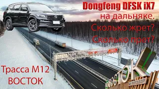 Dongfeng DFSK iX7. 620 км по платной трассе М12 "Восток". Сколько жрет, сколько прет, как едет?