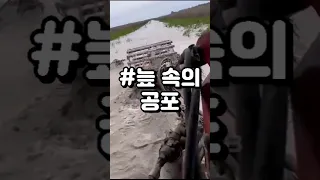 늪지대가 위험한 이유ㄷㄷ #shrots #늪 #악어