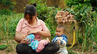 Single mom and two children: Harvest garlic goes to the market sell, Build Duck coop, Cooking