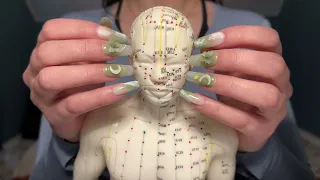 ASMR 🤍 This Trigger is going to MELT YOUR BRAIN 🤤 Acupuncture Doll Tap & Scratch - No Talking