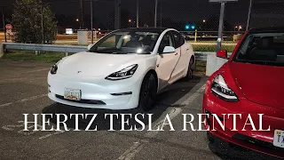 Rented a Tesla from Hertz | Watch before you buy a Tesla M3