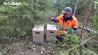 Guidance for Successful Forest Cultivation (pt. 2): Storage and Maintenance of Tree Seedlings