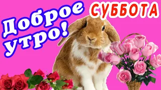 ДОБРОГО УТРА 🌞 ДОБРОЕ УТРО / С ДОБРЫМ УТРОМ / ДОБРОГО УТРА ЛЮБИМОЙ / ДОБРОЕ УТРО КАРТИНКИ / СУББОТА