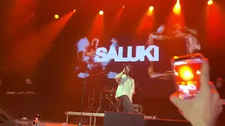 Saluki - Огней (Live) Москва 25.02.2023