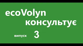 лохина. Чому кущ "стоїть на місці", не росте?