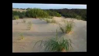 Jockey's Ridge - Lost in the Desert