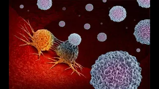 Hibernation how cancer cells utilise strategies | How cancer cells are formed