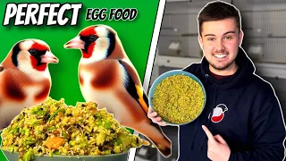 How to make the BEST Egg Food for birds | Finches & Canaries