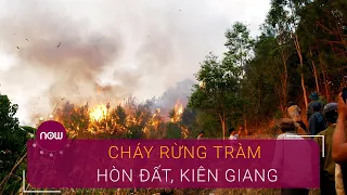 Cháy dữ dội rừng phòng hộ Hòn Đất, Kiên Giang | VTC Now