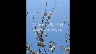 Cause I like you - Changbin & Felix (Stray Kids)