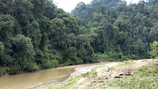 Danum Valley, Borneo, Malaysia - View of the Danum River 2018 Dec. 25