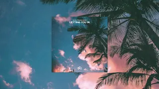 Natio & Francis Skyes - Letting You In (Official Audio)