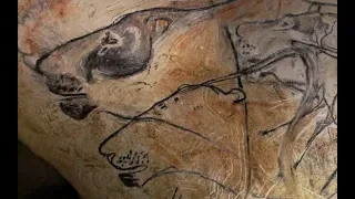 What can Stone Age art tell us about extinct animals?