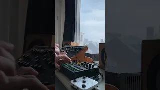 Hypnotic beat on a snowy winter day featuring Moog Subsequent 25 and Elektron Digitakt