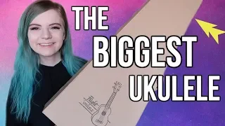 unboxing my first baritone ukulele! *the biggest one yet*