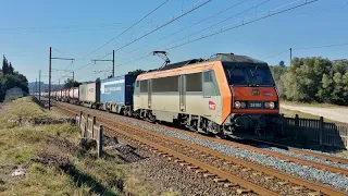 Trains TER TGV FRET INFRA et HLP à TARASCON