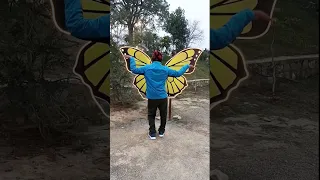 butterfly dance with comedy 🤌🤌 #comedy #fly