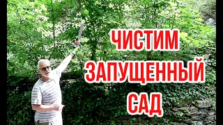 Чистимо зарослий сад З чого почати / Ігор Білевич