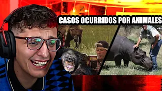 HORRIBLES CASOS CON ANIMALES