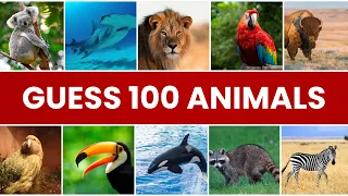 Guess 100 Animals in 3 seconds | (Animal Quiz)