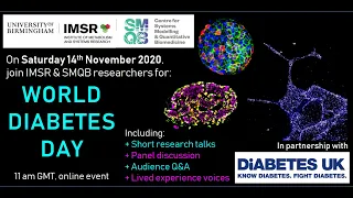 We Are IMSR: World Diabetes Day 2020