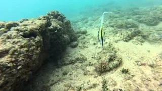 Caleb Snorkels In Hawaii