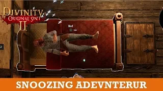 Snoozing Adventurer Quest (Divinity Original Sin 2)