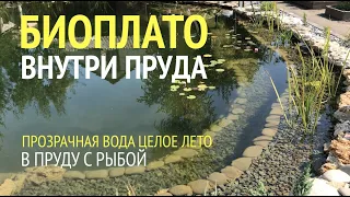 БИОПЛАТО ВНУТРИ ПРУДА.  Чистая и прозрачная вода в пруду с рыбой без фильтра с помощью биоплато!