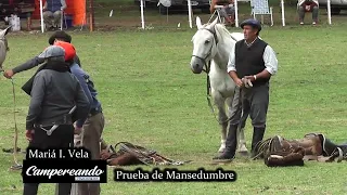 CAMPEREANDO TAPALQUÉ. Programa 102