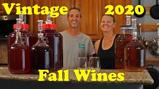 Homemade Wine | Finishing 14 Gallons of Wine