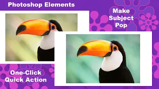 Make Subject Pop - Photoshop Elements