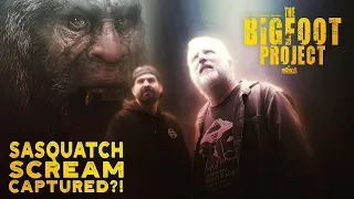 SASQUATCH SCREAM CAPTURED - The Bigfoot Project (new evidence documentary)