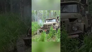 ЗИЛ психанул 😱 #зил #зил131 #4х4 #6х6 #offroad #бездорожье #джип #не_тормози #ссср