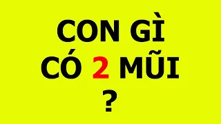 13 câu đố mẹo khiến bạn oằn tà là vằn | Câu đố ngắn, hay hack não