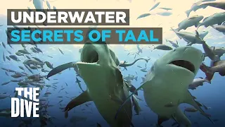 Underwater Secrets of Taal, Batangas | The Dive