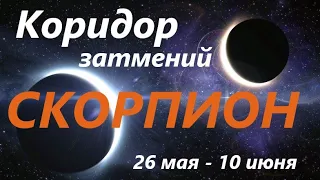 СКОРПИОН♏ КОРИДОР ЗАТМЕНИЙ 🚀 с 26 мая -  по 10 июня 2021👍 расклад на ПРОЗРАЧНОЙ КОЛОДЕ таро ! 🕑