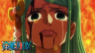 Toki's Prophecy | One Piece