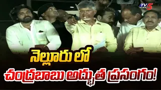 Chandrababu Superb Speech at at Nellore Public Meeting | Pawan Kalyan | Janasena | TV5 News