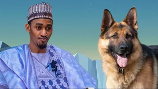 Tofa 😳 Ina Masu Mu'amala Da Kare To Wannan Sako Nakune Kuji Da kyau - Sheikh Bashir Ahmad Sokoto